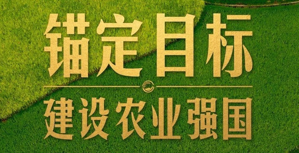 點燃現(xiàn)代農(nóng)業(yè)創(chuàng)新引擎，釋放農(nóng)業(yè)領(lǐng)域新質(zhì)生產(chǎn)力